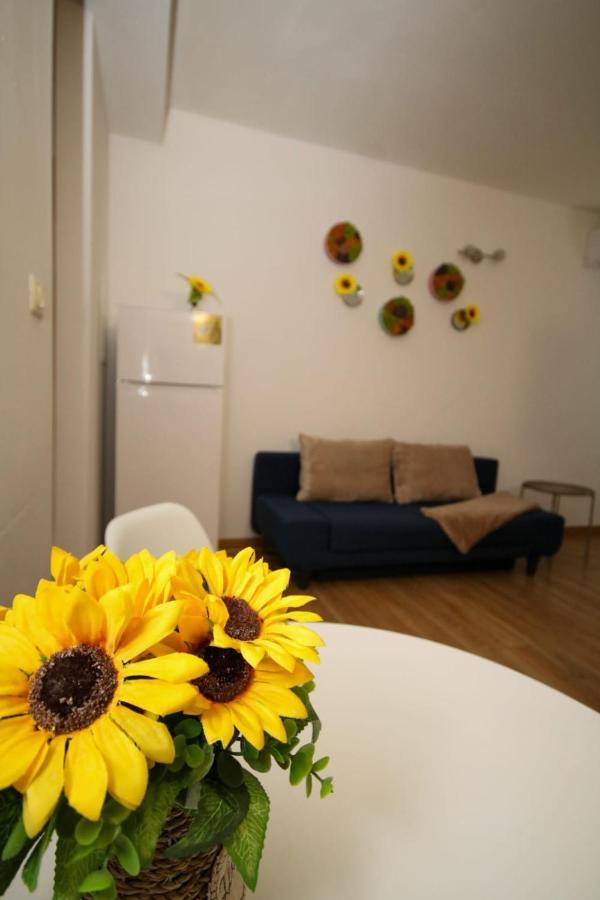 Sunrise Studio 티미쇼아라 외부 사진